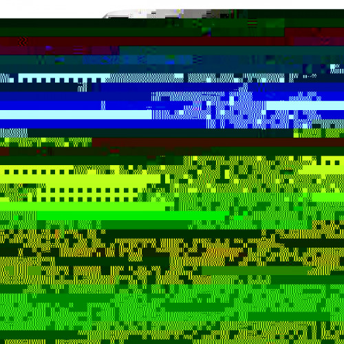 Delonghi EC885.GY 0132106251