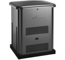 Генератор газовий Briggs & Stratton G60