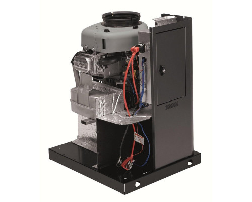 Генератор газовий Briggs & Stratton G80