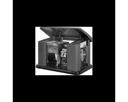 Генератор газовий Briggs & Stratton G110