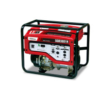 Генератор бензиновий Daishin SGB3801H