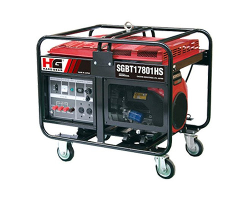 Генератор бензиновий Daishin SGBT17801HS