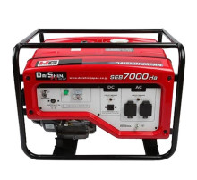 Генератор бензиновий Daishin SGB7001Ha