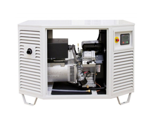 Генератор газовий Endress ESE 808 GF (8080101)