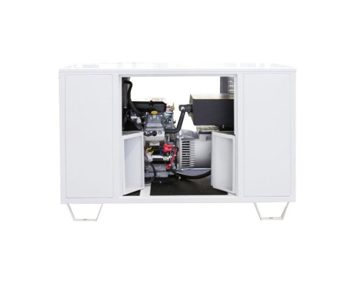 Генератор газовий Endress ESE 808 GF  (8080102)