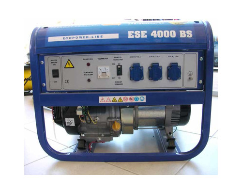 Генератор бензиновий Endress 4000 BS