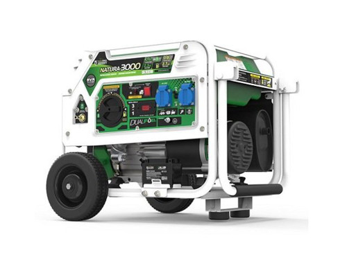Генератор бензин - газ Genergy Natura 3000