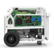 Генератор бензин - газ Genergy Natura 3000