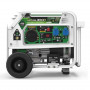 Генератор бензин - газ Genergy Natura 3000 Генератор бензин - газ Genergy Natura 3000