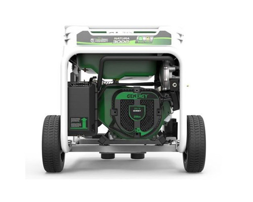 Генератор бензин - газ Genergy Natura 3000
