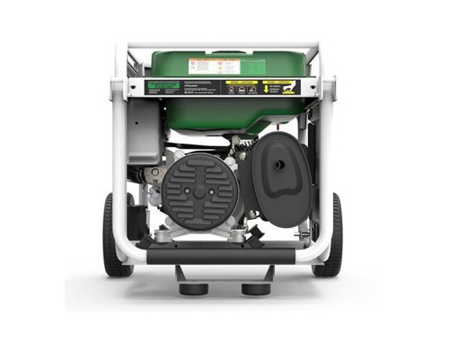 Генератор бензин - газ Genergy Natura 3000