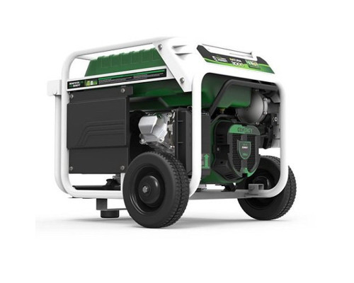 Генератор бензин - газ Genergy Natura 3000