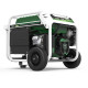 Генератор бензин - газ Genergy Natura 3000