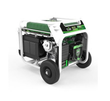 Генератор бензин - газ Genergy Natura 7000