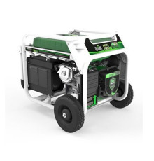 Генератор бензин - газ Genergy Natura 7000