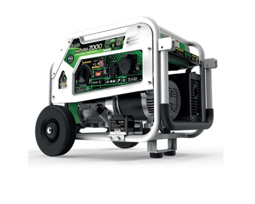 Генератор бензин - газ Genergy Natura 7000