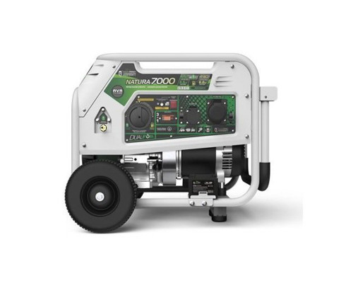 Генератор бензин - газ Genergy Natura 7000