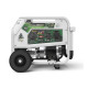 Генератор бензин - газ Genergy Natura 7000