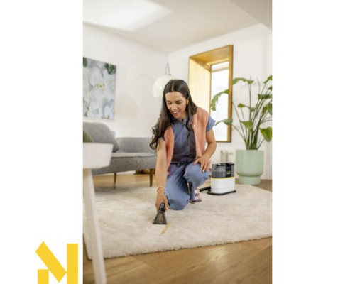 Пилосос миючий Karcher SE 2 Spot Care
