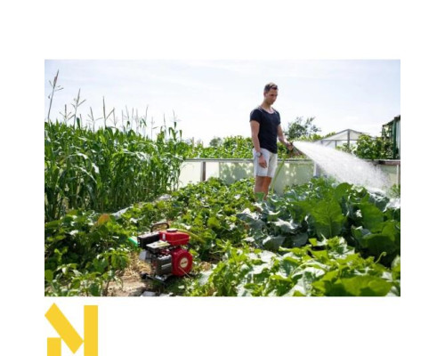 Мотопомпа бензинова AL-KO Comfort BMP 14001