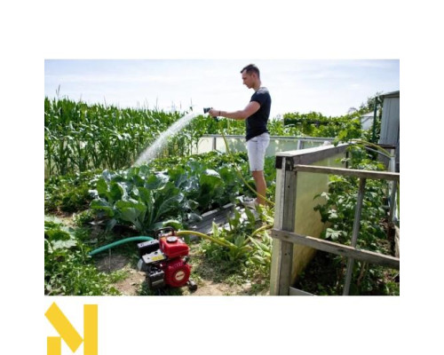 Мотопомпа бензинова AL-KO Comfort BMP 14001