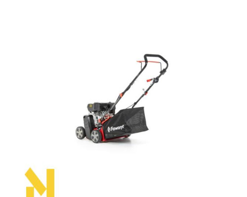 Скарифікатор бензиновий FAWORYT TW40