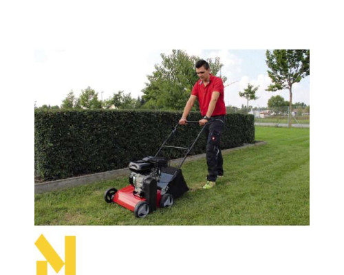 Аератор бензиновий Einhell GC-SC 2240 P