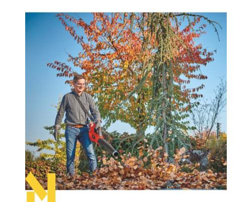 Повітродувка садова акумуляторна Einhell GE-LB 36/210 Li E-Solo (без АКБ та ЗП)