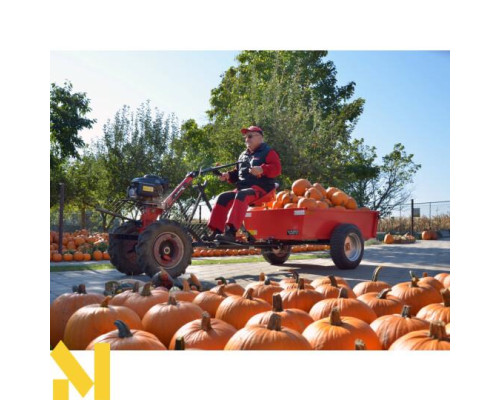 Мотоблок бензиновий VARI GLOBAL XP-200A