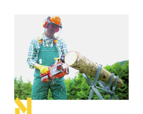 Пила ланцюгова акумуляторна Einhell GE-LC 18/25 Li Set