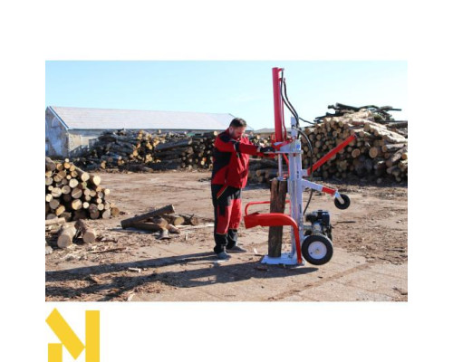 Дровокол VARI 16 TON GAS FORCE