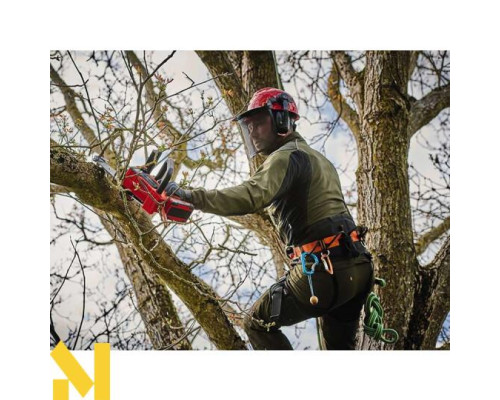 Пила ланцюгова акумуляторна Einhell FORTEXXA 18/20 TH - Solo (без АКБ та ЗП)