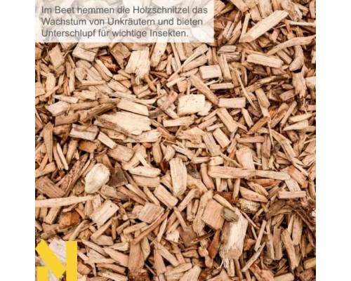 Подрібнювач садовий електричний Scheppach GS70