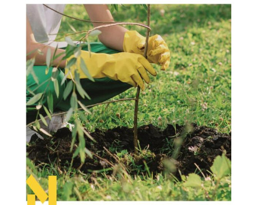 Мотобур Scheppach EB 2000