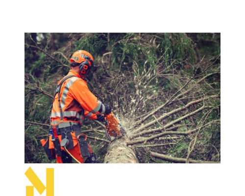 Бензопила Husqvarna 564XP