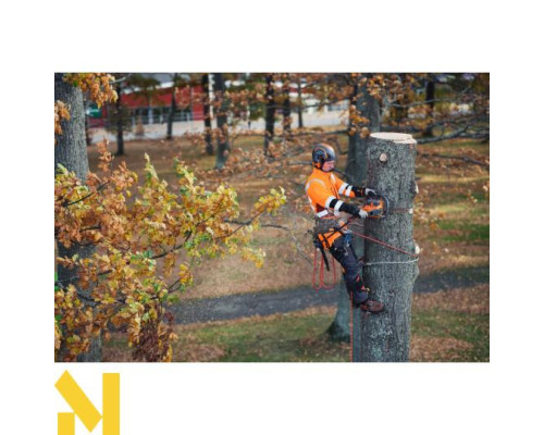 Пила ланцюгова акумуляторна Husqvarna 550i XP (без АКБ та ЗП)