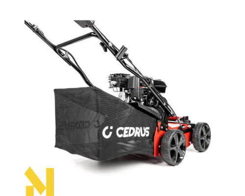 Скарифікатор бензиновий Cedrus WR01-B 2w1 (Briggs&Stratton CR950)