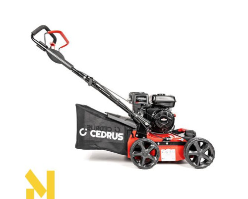 Скарифікатор бензиновий Cedrus WR01-B 2w1 (Briggs&Stratton CR950)