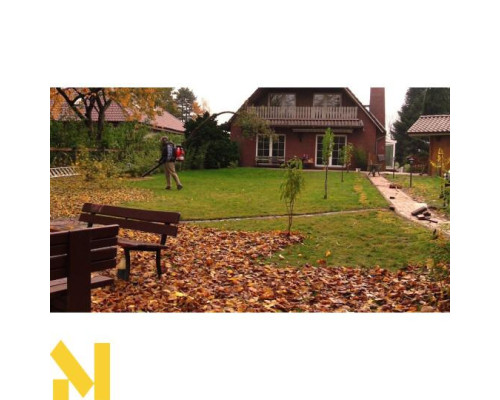 Повітродувка садова бензинова Hecht 952