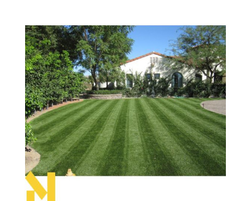 Газонокосарка бензинова Honda HRD536K4 QXE