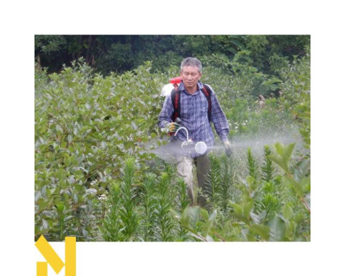 Мотообприскувач ранцевий CIFARELLI M1200