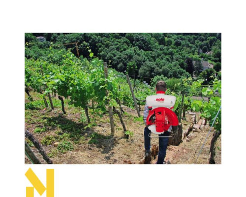 Мотообприскувач ранцевий SOLO MASTER452