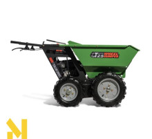 Міні-самоскид MAST Gartentechnik T25