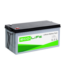 Акумулятор LiFe EcoLiFe 24-100P