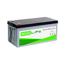 Акумулятор LiFe EcoLiFe 24-150P