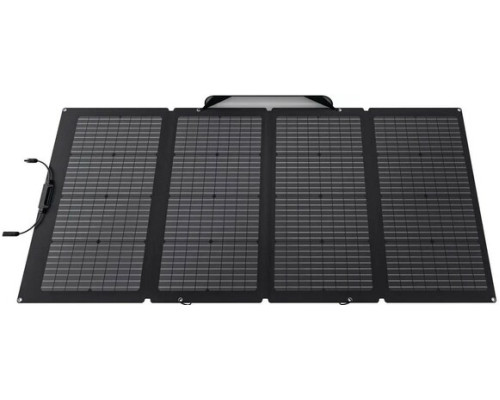 Набір EcoFlow Delta Mini (882 Вт·год / 1400 Вт) + 220W Solar Panel