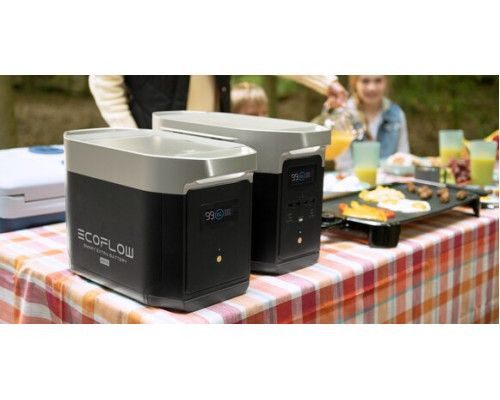 Зарядна станція EcoFlow DELTA 2 Max (2048 Вт·г / 2400 Вт)