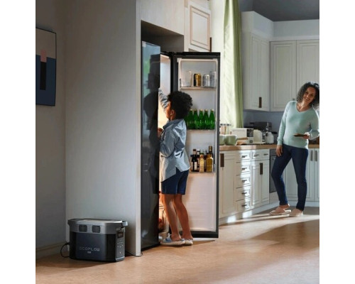 Зарядна станція EcoFlow E2000 (EFE2000-EU-CBOX) (2048 Вт·год / 2400 Вт)