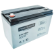 Акумуляторна батарея Challenger A12-100