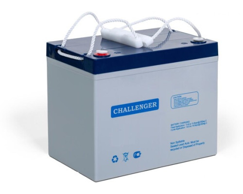 Акумуляторна батарея Challenger EVG12-110